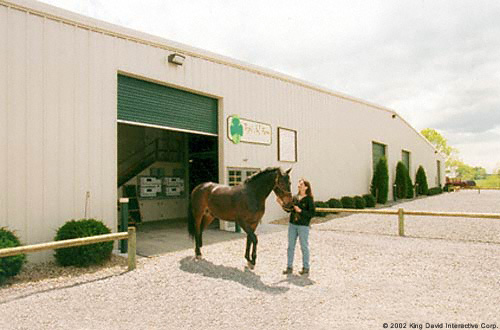 Horse riding facility