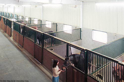 Indoor horse barn