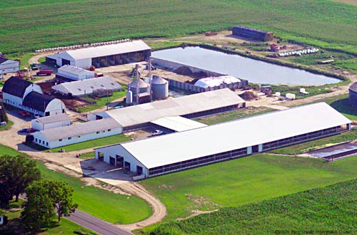 Birdseye view of a dairy barn