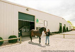 Riding Arenas