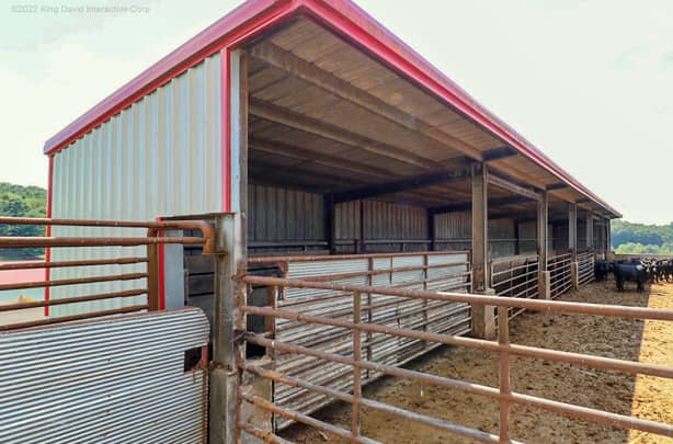 Lean-to dairy barn building