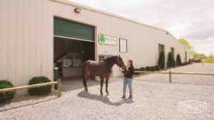 horse riding arena