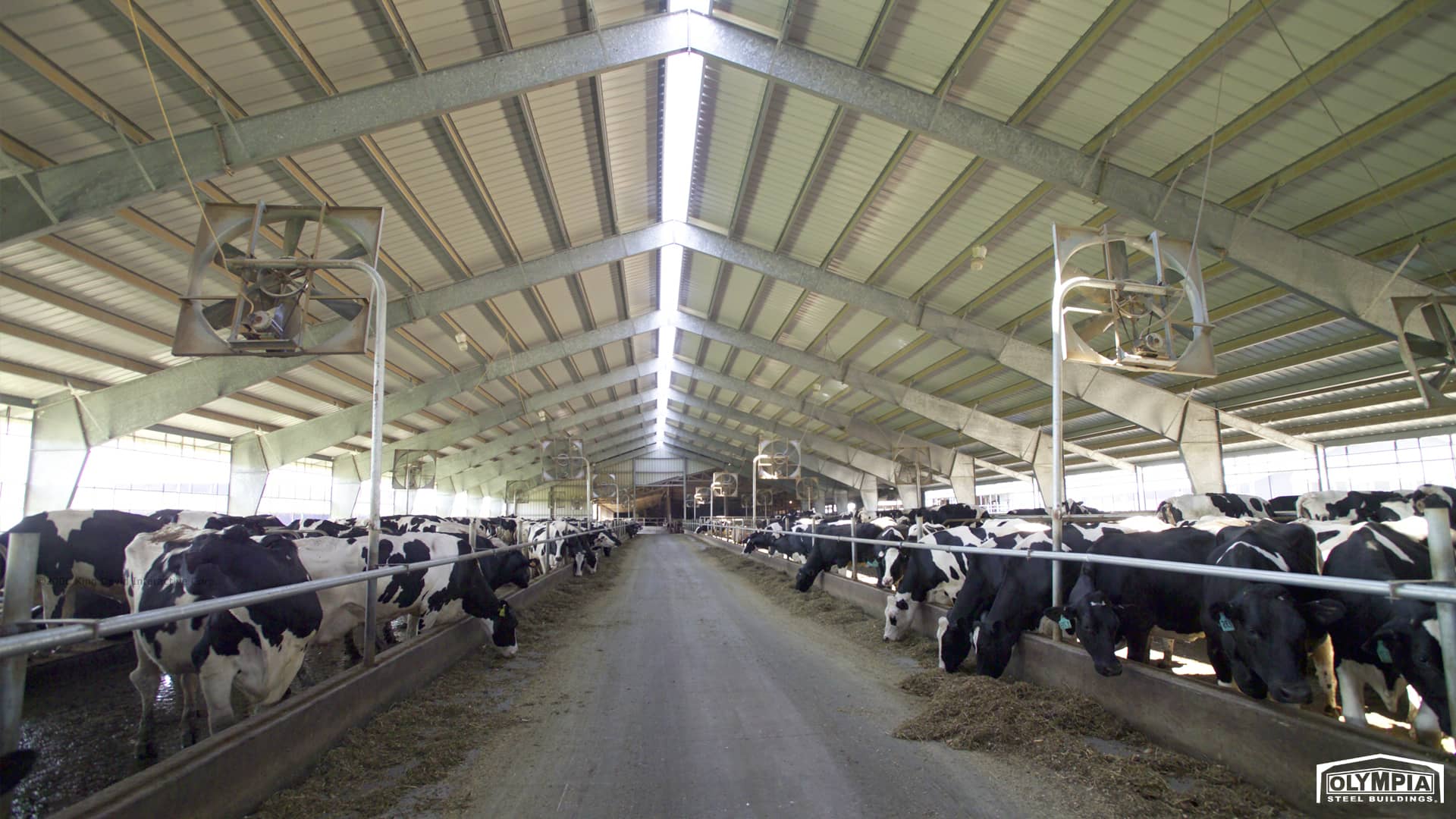 Cowing Building Blog | Olympia Steel Buildings USA
